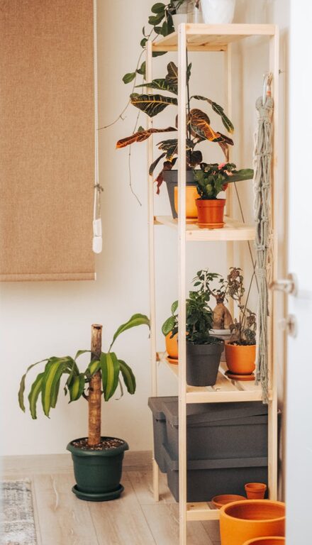 Affordable Ideas for Refreshing Your Living Room on a Budget